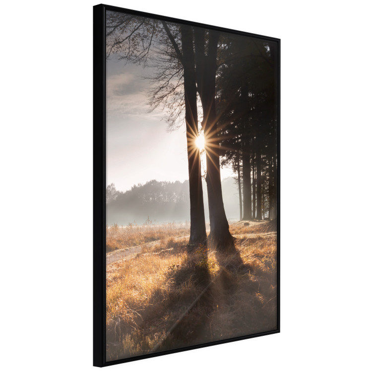 Wall Poster We Are a Gleam - landscape of trees and sun against a forest in mist 138040 additionalImage 4