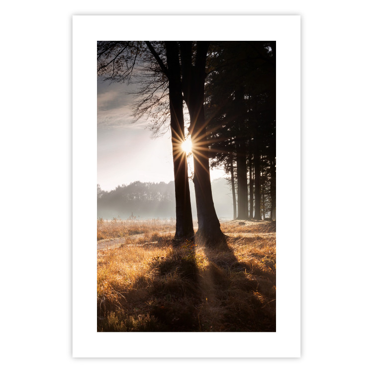 Wall Poster We Are a Gleam - landscape of trees and sun against a forest in mist 138040 additionalImage 11