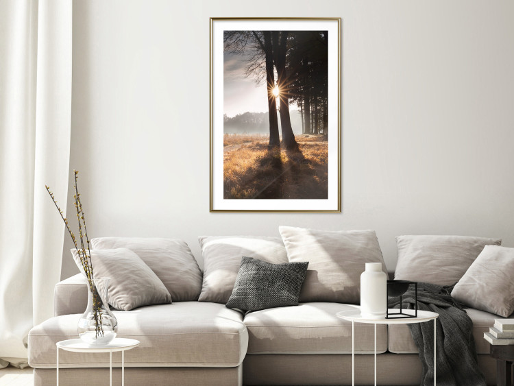 Wall Poster We Are a Gleam - landscape of trees and sun against a forest in mist 138040 additionalImage 19