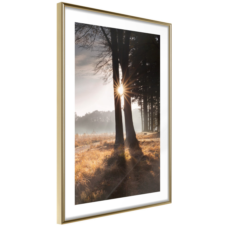 Wall Poster We Are a Gleam - landscape of trees and sun against a forest in mist 138040 additionalImage 2