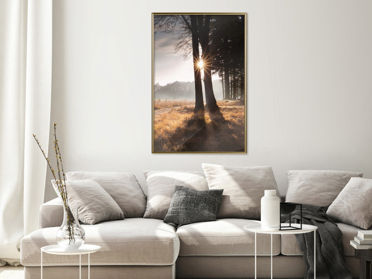 Wall Poster We Are a Gleam - landscape of trees and sun against a forest in mist 138040 additionalImage 16