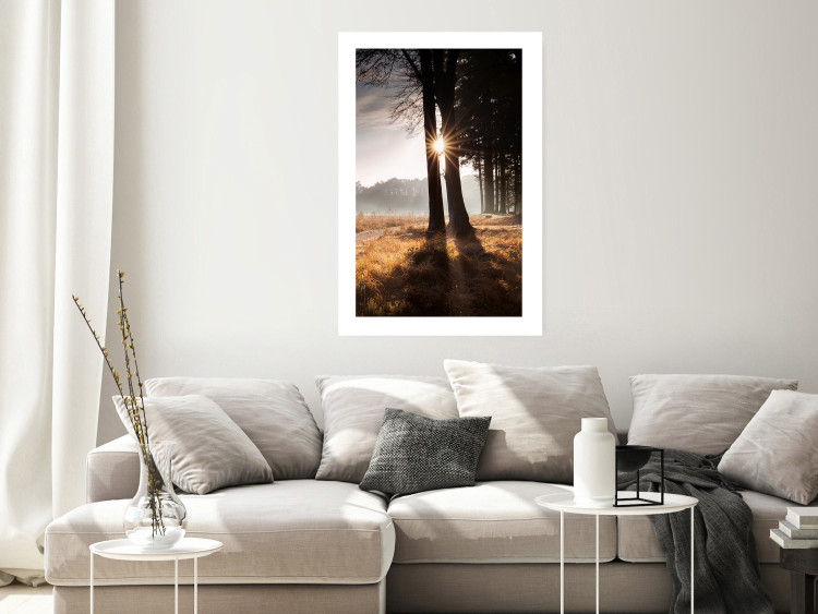 Wall Poster We Are a Gleam - landscape of trees and sun against a forest in mist 138040 additionalImage 18