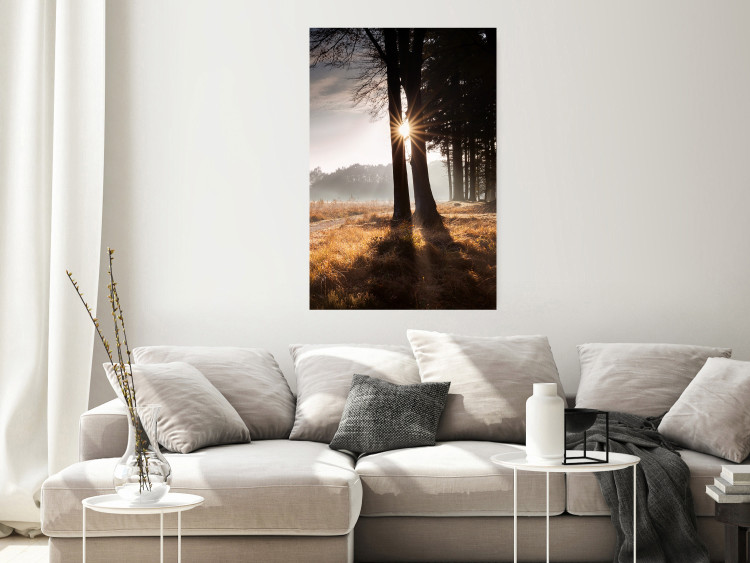 Wall Poster We Are a Gleam - landscape of trees and sun against a forest in mist 138040 additionalImage 17