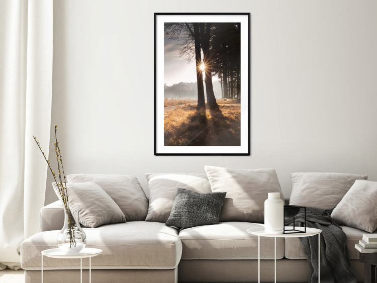 Wall Poster We Are a Gleam - landscape of trees and sun against a forest in mist 138040 additionalImage 20