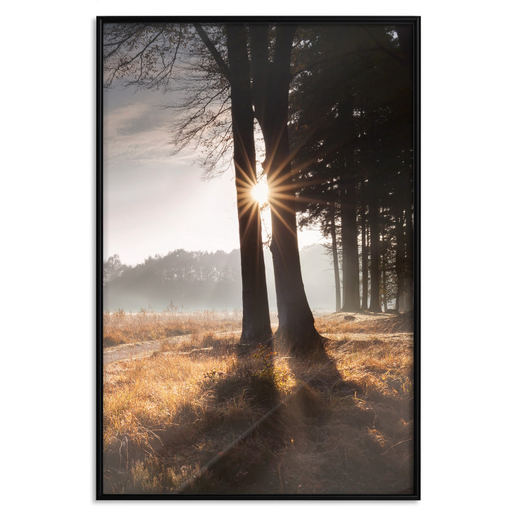 Wall Poster We Are a Gleam - landscape of trees and sun against a forest in mist 138040 additionalImage 10