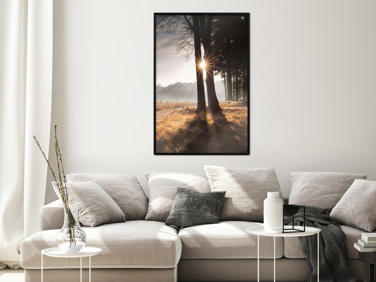 Wall Poster We Are a Gleam - landscape of trees and sun against a forest in mist 138040 additionalImage 15