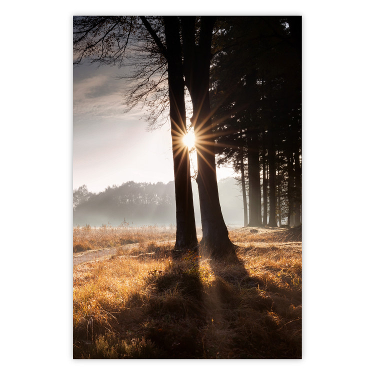 Wall Poster We Are a Gleam - landscape of trees and sun against a forest in mist 138040