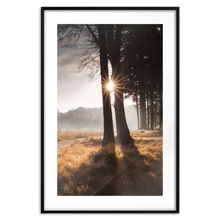 Wall Poster We Are a Gleam - landscape of trees and sun against a forest in mist 138040 additionalImage 13