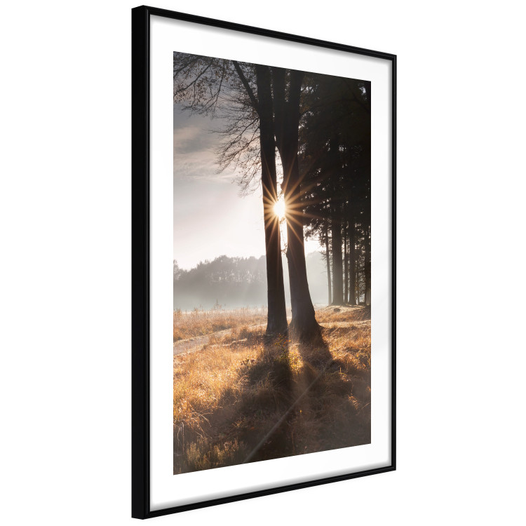 Wall Poster We Are a Gleam - landscape of trees and sun against a forest in mist 138040 additionalImage 3