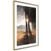 Wall Poster We Are a Gleam - landscape of trees and sun against a forest in mist 138040 additionalThumb 2