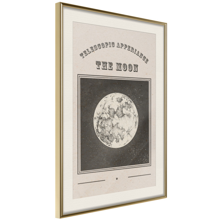 Poster Moon View - Illustration Stylized as an Old Engraving From the Album 146140 additionalImage 9