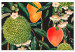 Canvas Exotic Fruits (1-piece) - tropical plants on a black background 149640