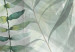 Canvas Wild Meadow - Lush Vegetation Intermingled on a White Background 151440 additionalThumb 5