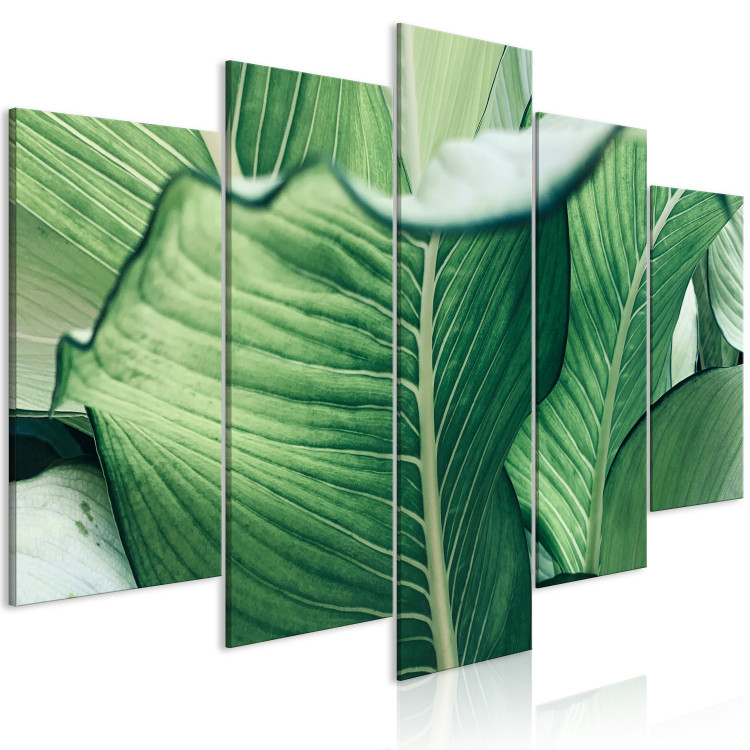 Canvas Print Luscious Nature - Large Leaves in Expressive Shades of Green 151840 additionalImage 2