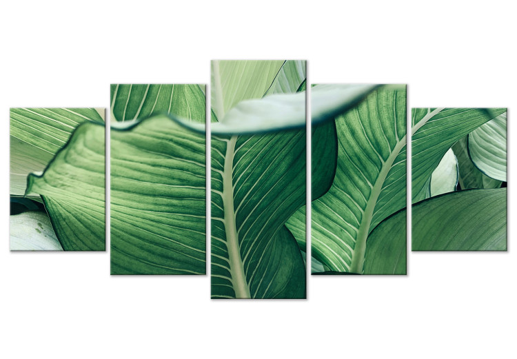 Canvas Print Luscious Nature - Large Leaves in Expressive Shades of Green 151840