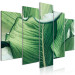Canvas Print Luscious Nature - Large Leaves in Expressive Shades of Green 151840 additionalThumb 2