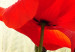 Canvas Art Print Nature and red poppies 58640 additionalThumb 4
