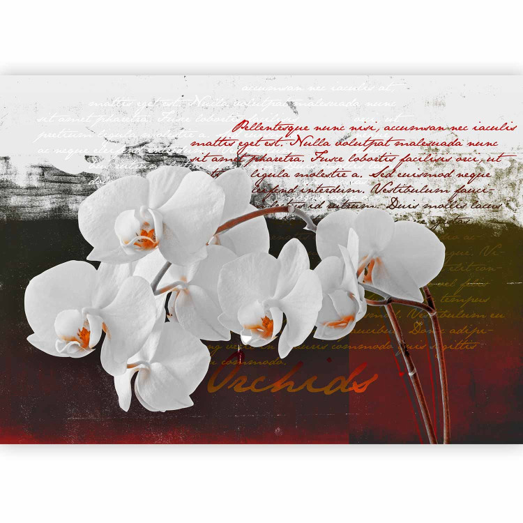 Photo Wallpaper Diary and Orchids - Floral Motif with Flowers in the Center and Texts in the Background 60240 additionalImage 1