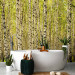 Photo Wallpaper Birch forest 60540 additionalThumb 8