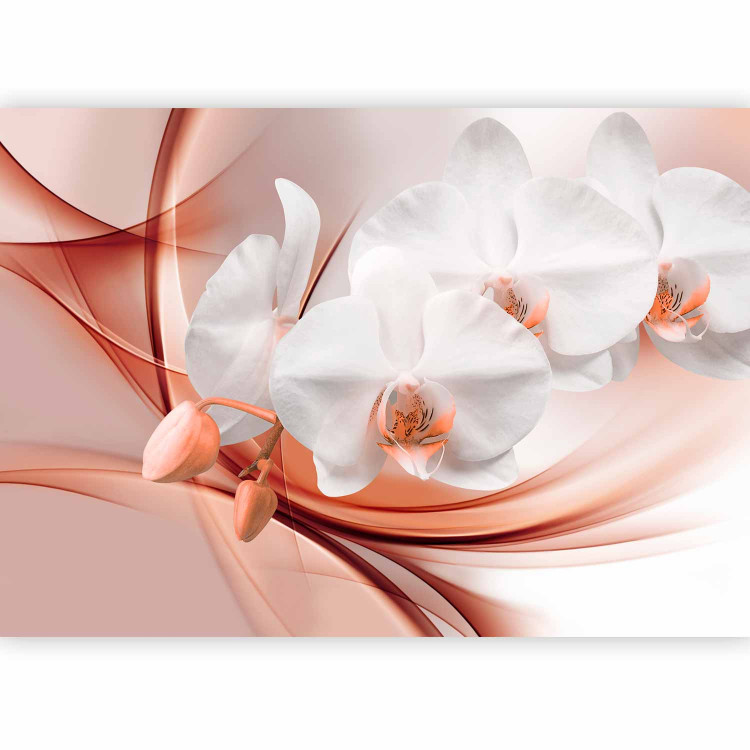 Wall Mural Orchid blossom II 61840 additionalImage 1