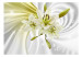 Wall Mural Green enchantment - white lilies on background with swirl effect 92040 additionalThumb 1