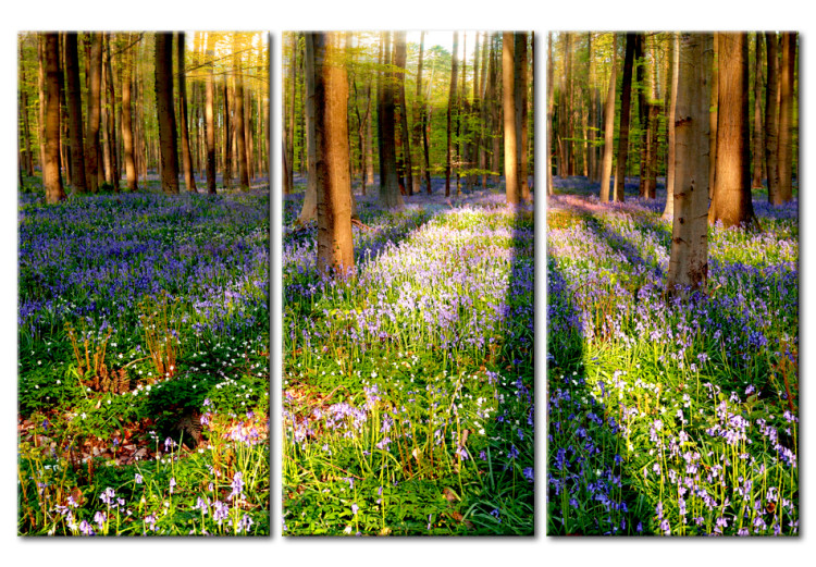 Canvas Print Floral Meadow Among Trees (3-part) - Spring Forest Landscape 96840