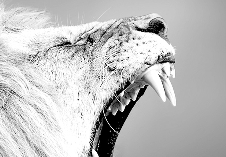 Canvas Strength of Lion's Roar (1-part) - Predatory Animal in Black and White 116450 additionalImage 5