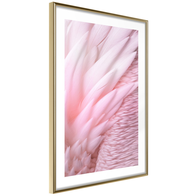 Wall Poster Angelic Feathers - composition with delicate feathers in pink color 117150 additionalImage 8