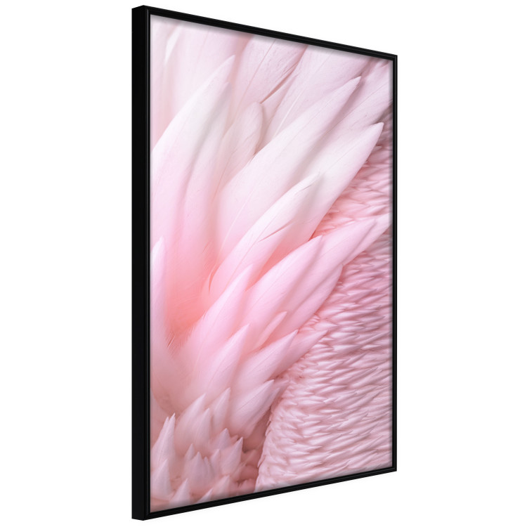 Wall Poster Angelic Feathers - composition with delicate feathers in pink color 117150 additionalImage 12