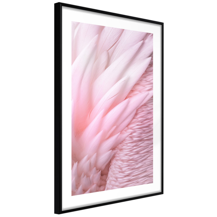 Wall Poster Angelic Feathers - composition with delicate feathers in pink color 117150 additionalImage 13