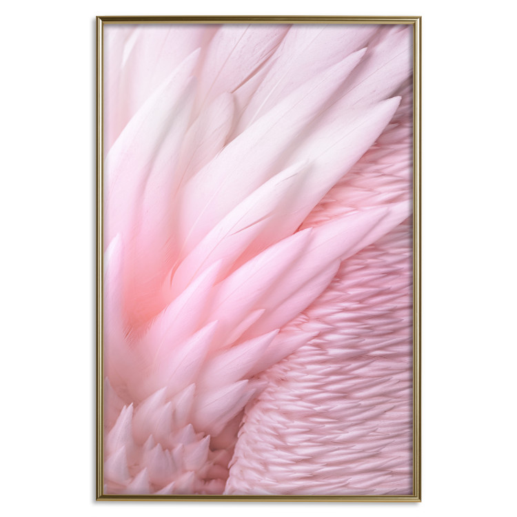 Wall Poster Angelic Feathers - composition with delicate feathers in pink color 117150 additionalImage 20