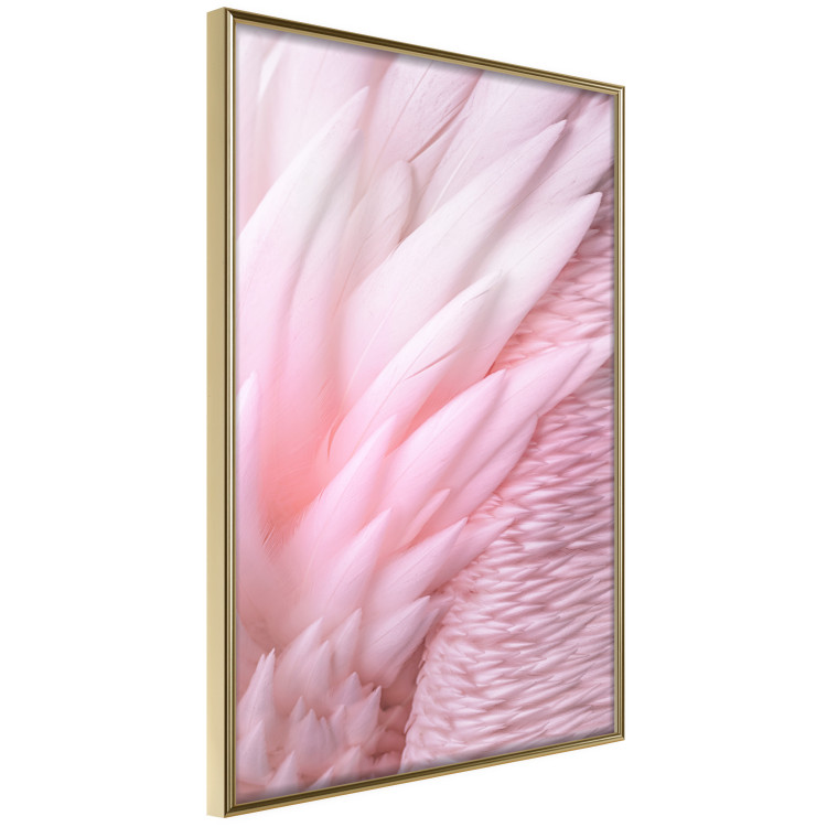 Wall Poster Angelic Feathers - composition with delicate feathers in pink color 117150 additionalImage 14