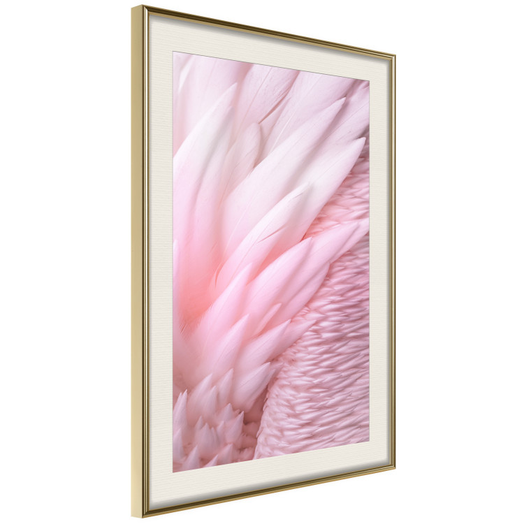 Wall Poster Angelic Feathers - composition with delicate feathers in pink color 117150 additionalImage 2