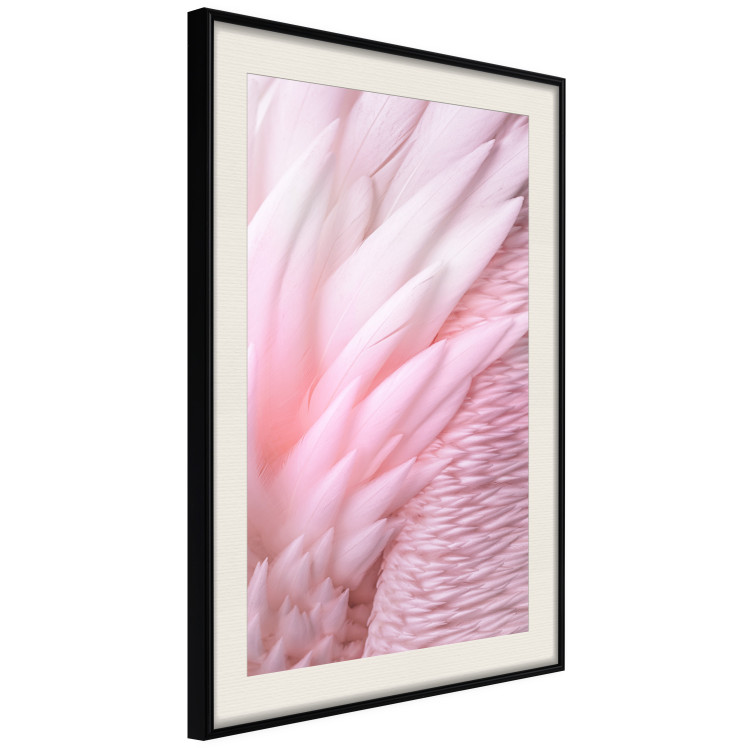 Wall Poster Angelic Feathers - composition with delicate feathers in pink color 117150 additionalImage 3