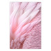 Wall Poster Angelic Feathers - composition with delicate feathers in pink color 117150
