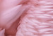 Wall Poster Angelic Feathers - composition with delicate feathers in pink color 117150 additionalThumb 8