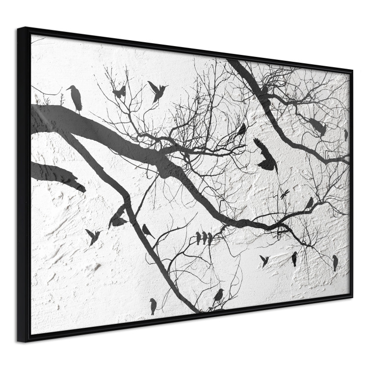 Wall Poster Bird Encounter - black and white landscape of tree and birds on branches 117250 additionalImage 12