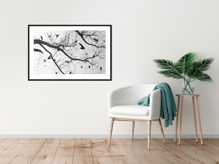 Wall Poster Bird Encounter - black and white landscape of tree and birds on branches 117250 additionalImage 6