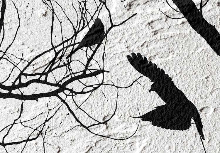 Wall Poster Bird Encounter - black and white landscape of tree and birds on branches 117250 additionalImage 11