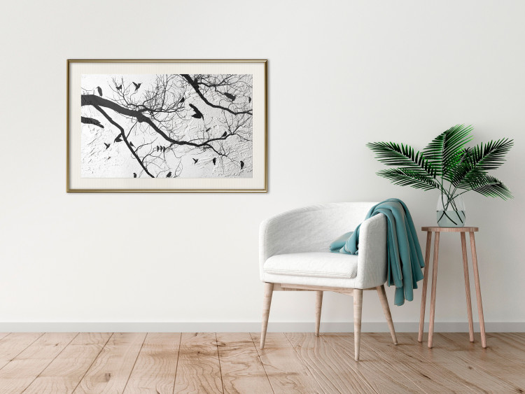 Wall Poster Bird Encounter - black and white landscape of tree and birds on branches 117250 additionalImage 22