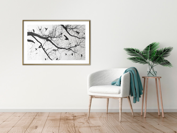 Wall Poster Bird Encounter - black and white landscape of tree and birds on branches 117250 additionalImage 13