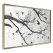 Wall Poster Bird Encounter - black and white landscape of tree and birds on branches 117250 additionalThumb 14