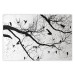Wall Poster Bird Encounter - black and white landscape of tree and birds on branches 117250