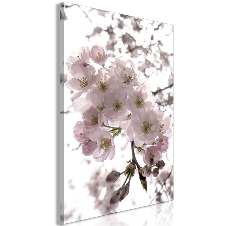 Canvas Cherry Blossoms (1 Part) Vertical 125850 additionalImage 2