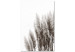 Canvas Waiting for the Wind (1-piece) Vertical - landscape of forest scenery 130250