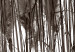 Canvas Waiting for the Wind (1-piece) Vertical - landscape of forest scenery 130250 additionalThumb 4