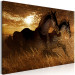 Canvas Golden gallop - two penalties horses galloping through a golden meadow 135050 additionalThumb 2