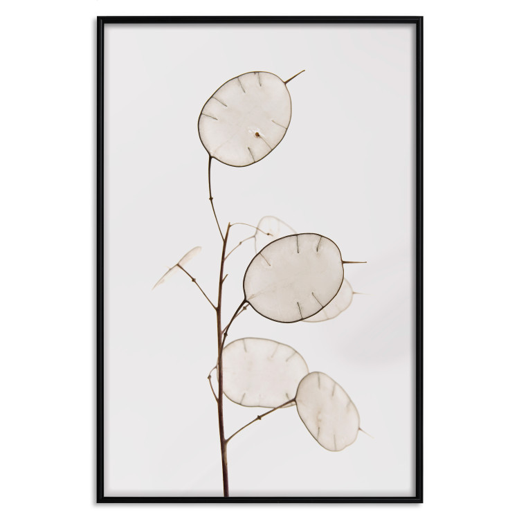 Wall Poster Sunny Direction - a simple composition with bright foliage on a white background 136050 additionalImage 23