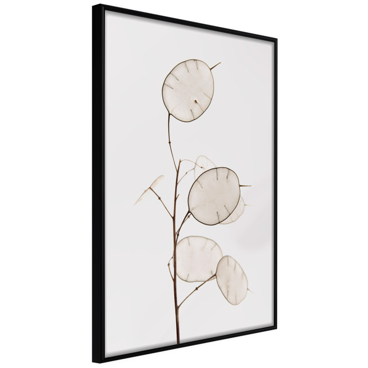 Wall Poster Sunny Direction - a simple composition with bright foliage on a white background 136050 additionalImage 5