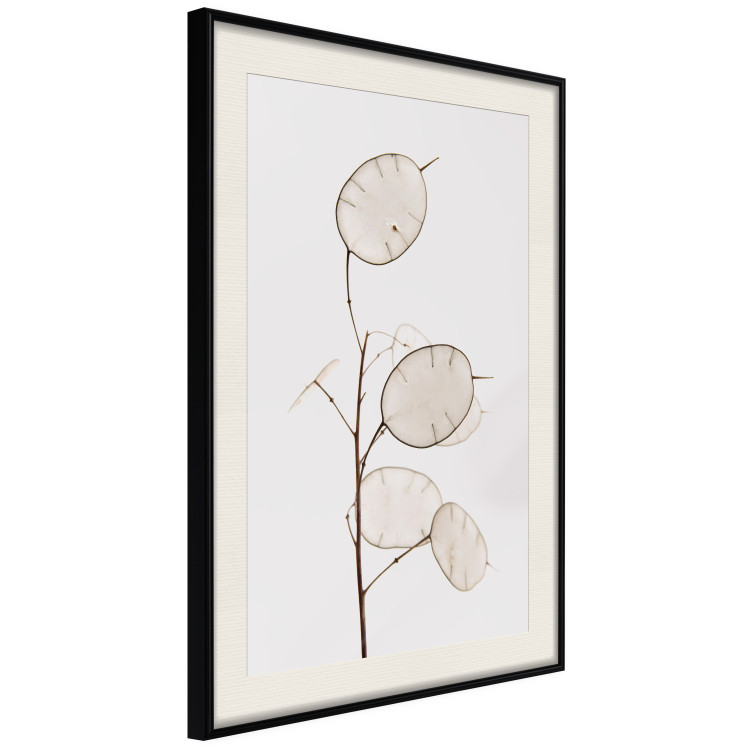 Wall Poster Sunny Direction - a simple composition with bright foliage on a white background 136050 additionalImage 10